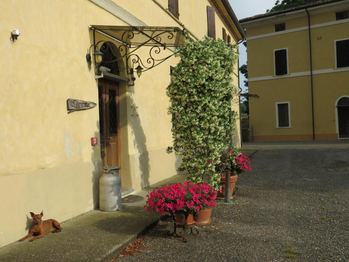 Agriturismo Rivieraoglio Piadena Εξωτερικό φωτογραφία