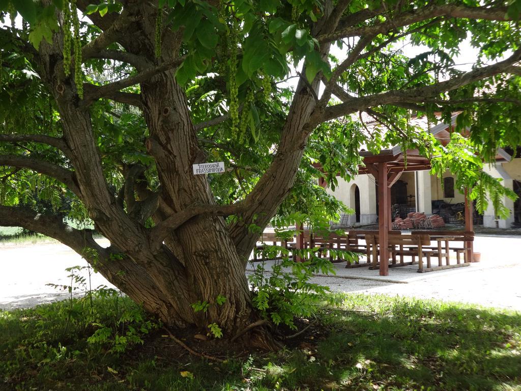 Agriturismo Rivieraoglio Piadena Εξωτερικό φωτογραφία