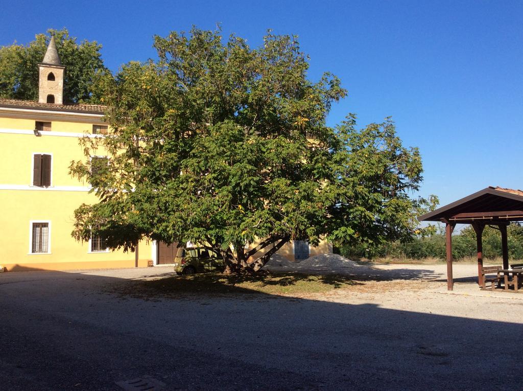 Agriturismo Rivieraoglio Piadena Εξωτερικό φωτογραφία